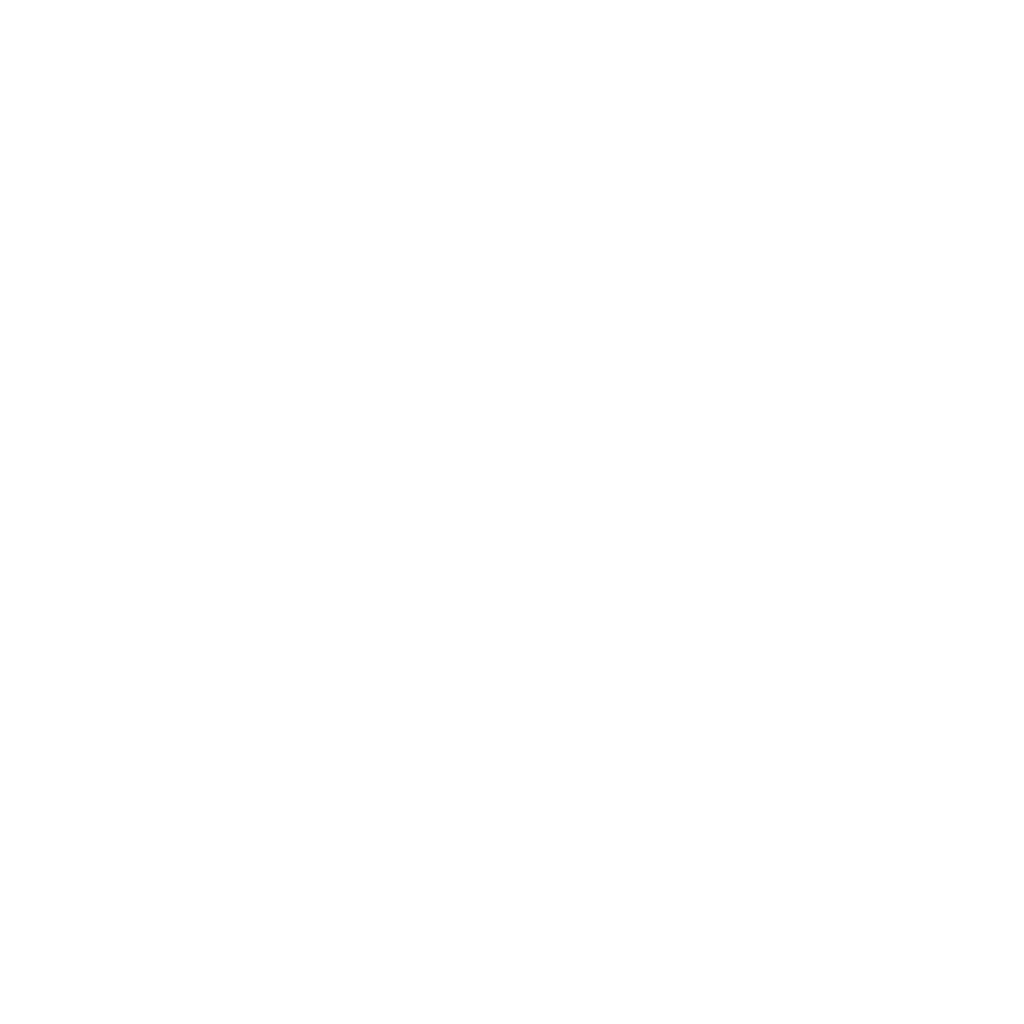 Icon Waschtrockner