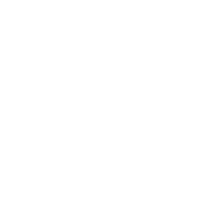 Icon Auto